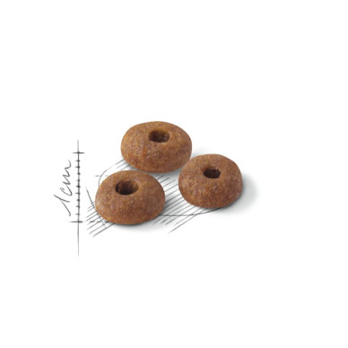 Royal Canin Fit 32 Adult – Hrană Uscată pentru Pisici Adulte – 4 kg